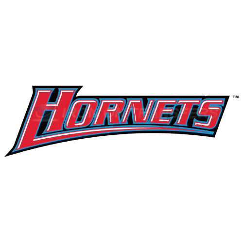 Delaware State Hornets Logo T-shirts Iron On Transfers N4249